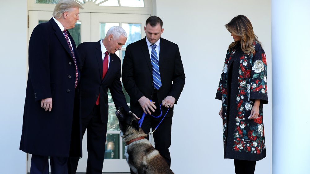 Trump, Pence, and dog