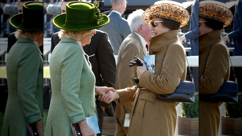 Camilla warmly shakes the hand of Princess Anne 