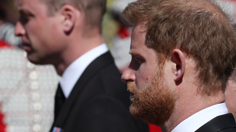 Prince Harry and Prince William at Prince Philip's funeral