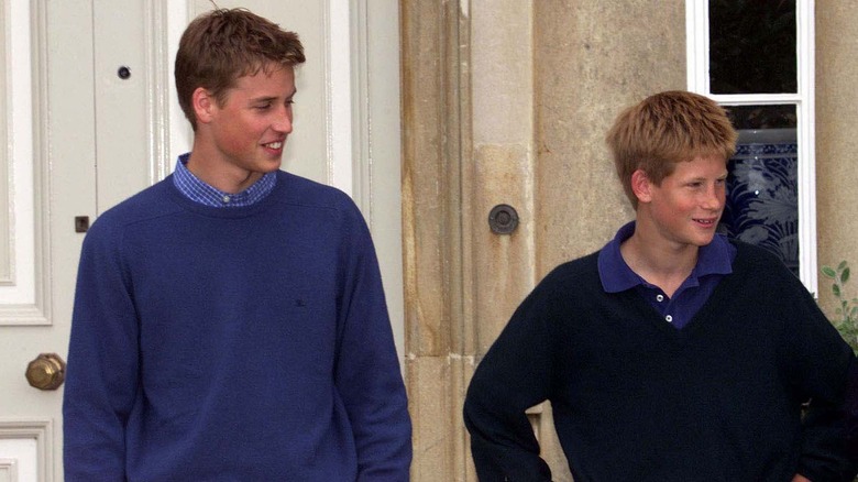 Prince William looks at Prince Harry