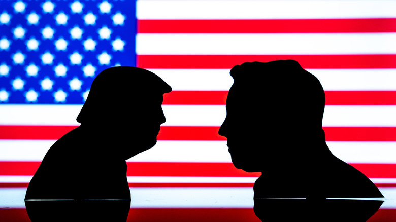 Silhouettes of Donald Trump and Elon Musk in front of the American flag