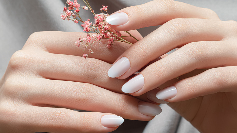 Woman's hands holding a flower branch