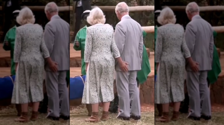 Camilla patting King Charles' bottom