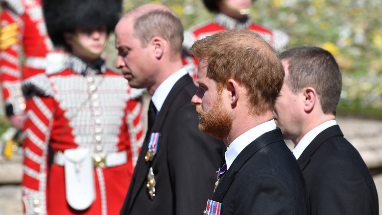 Princes William and Harry procession