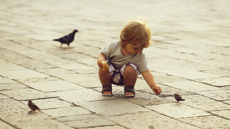 toddler feeding little birds