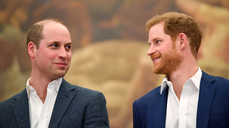 Prince William and Prince Harry regard each other 