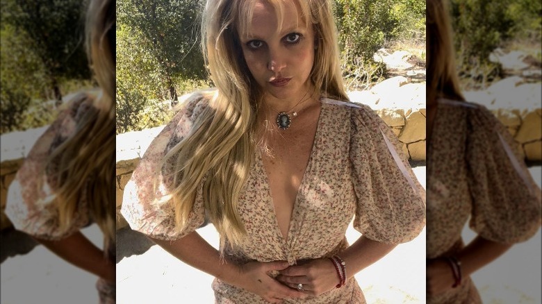 Britney Spears poses for Instagram 