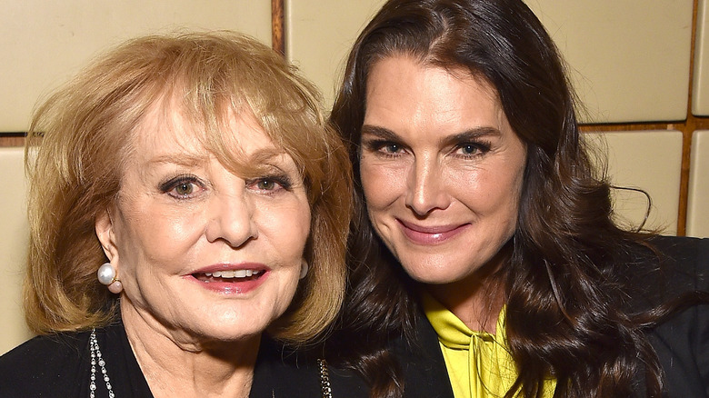 Barbara Walters and Brooke Shields smiling 