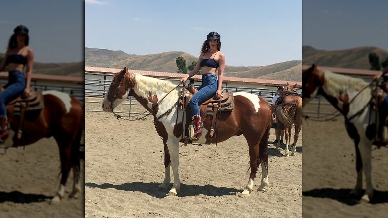 Scout Willis on a horse