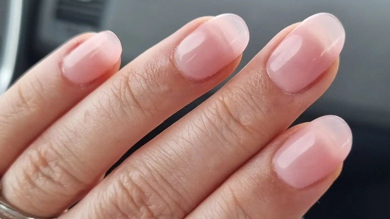 Rounded tip natural nails with shine