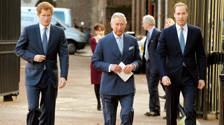 Prince Harry, King Charles, and Prince William