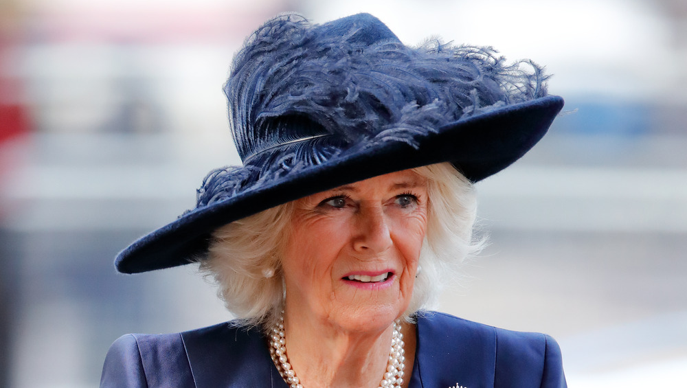 Camilla Duchess of Cornwall, blue hat