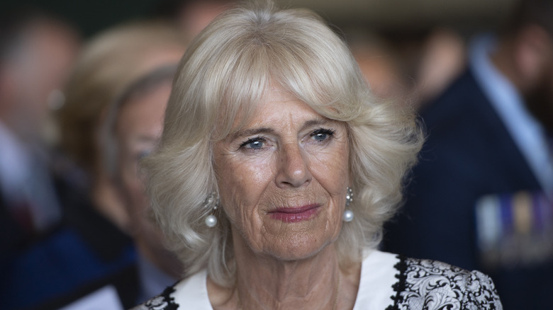 Camilla Parker Bowles posing 