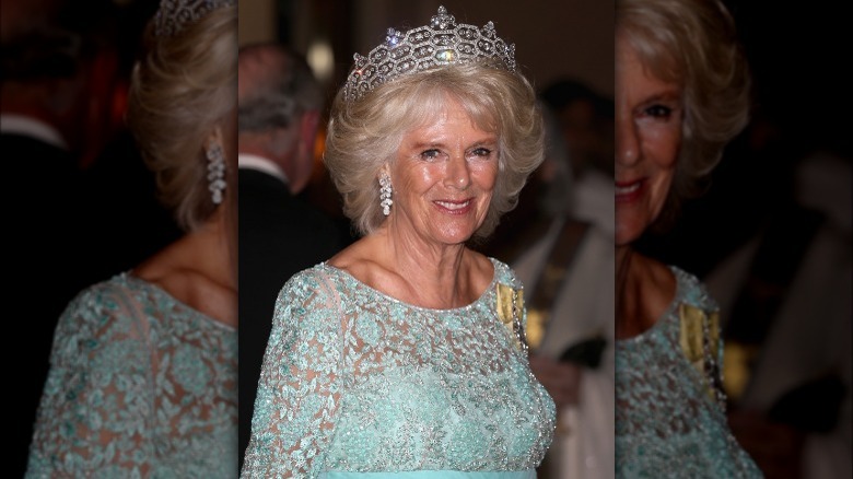 Camilla Parker Bowles posing 