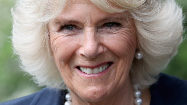 Camilla Might Get A New Title After King Charles' Coronation