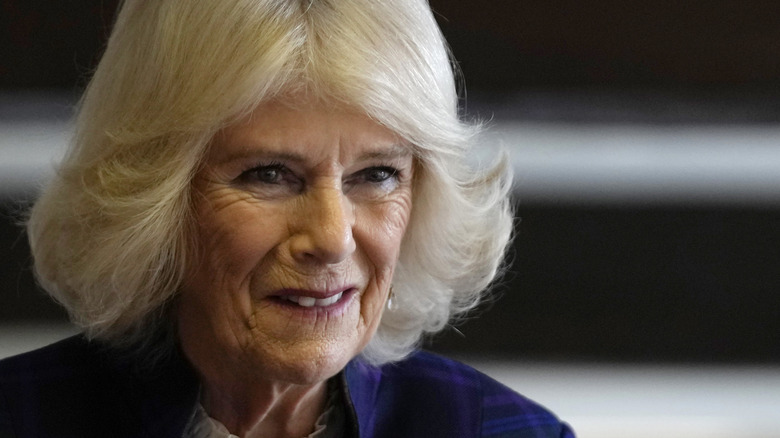 Camilla, Duchess of Cornwall, smiling