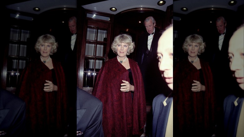 Camilla, Queen Consort poses in red cape 