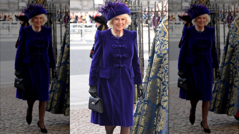 Camilla, Queen Consort smiles in purple hat 