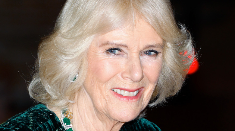 Camilla Parker Bowles Shares Her Thoughts About Becoming Queen Consort