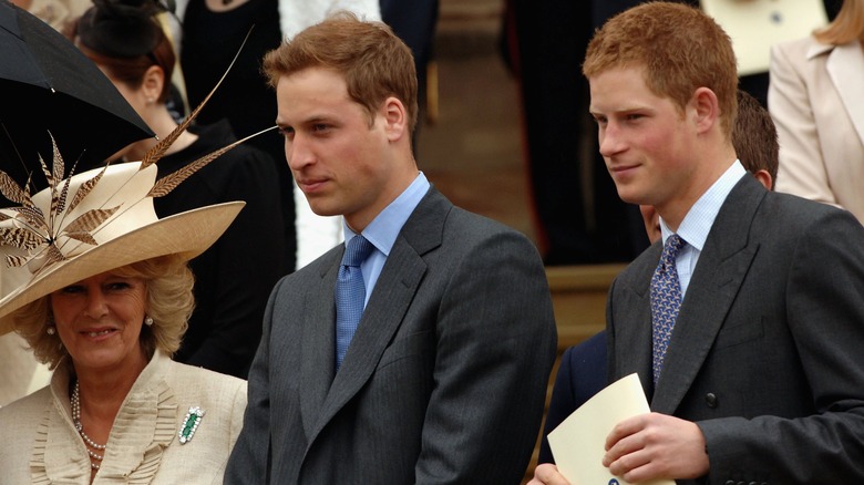 Camilla with Princes William, Harry