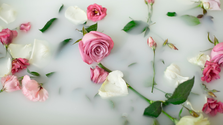 Milk bath with roses