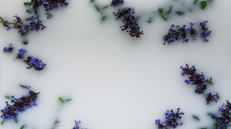 Milk bath with lavendar 