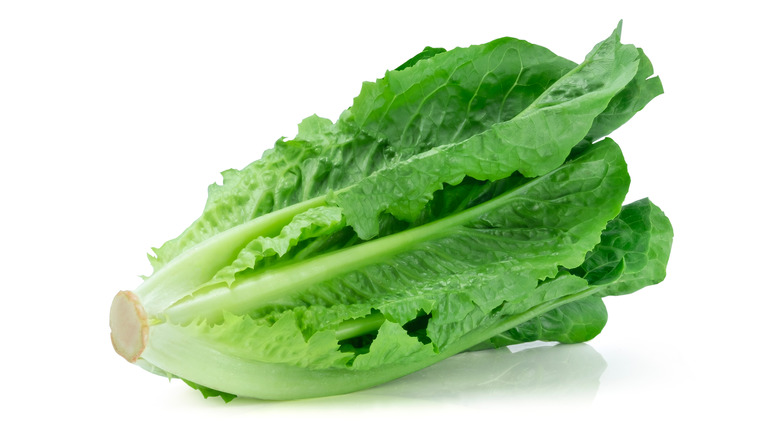 Lettuce