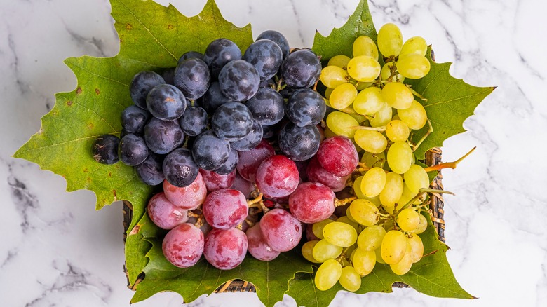 Can You Eat Grapes While Pregnant 