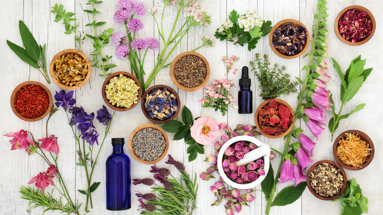 Herbal treatments flatlay