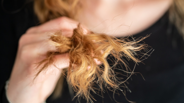 Woman holding split ends