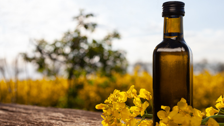 Canola oil with flowers