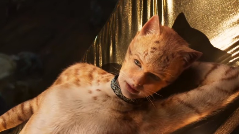 Taylor Swift in Cats