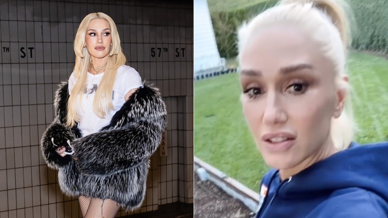 Gwen Stefani with long layered hair vs short ponytail