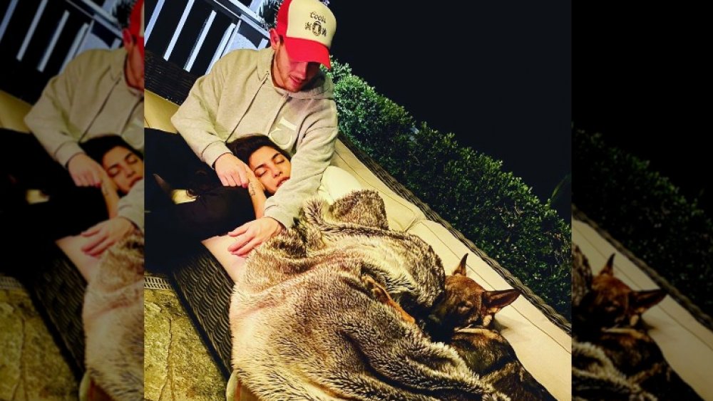 Priyanka Chopra and Nick Jonas, celebrities waiting out quarantine in luxury
