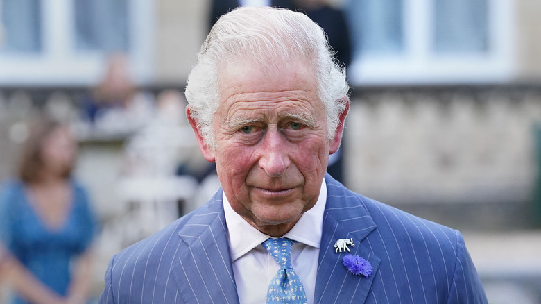 King Charles posing in a blue suit 