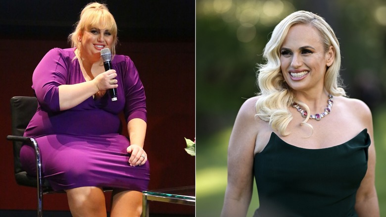 Rebel Wilson then and now