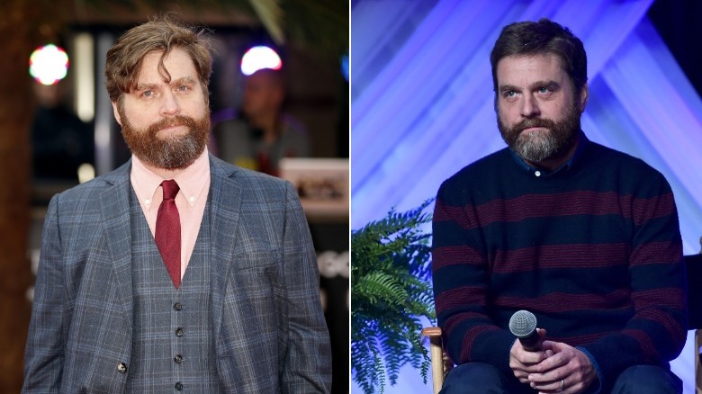 Zach Galifianakis 2013/Zach Galifianakis 2018