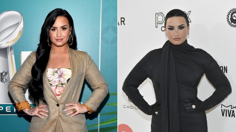 Demi Lovato before and after haircut