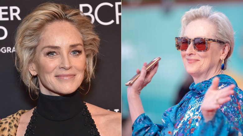 Sharon Stone Meryl Streep