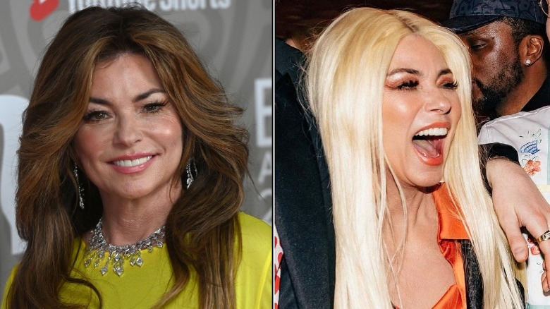 Shania Twain as a brunette and as a blond