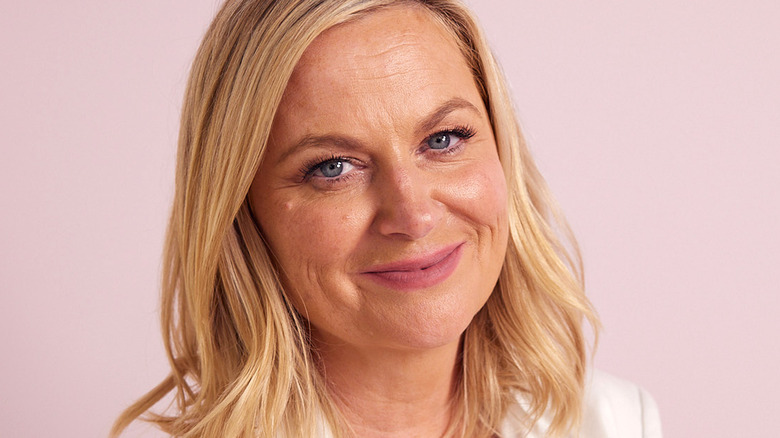 Amy Poehler smiling