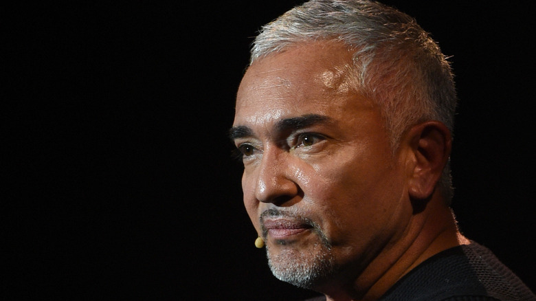 Cesar Millan giving a talk 