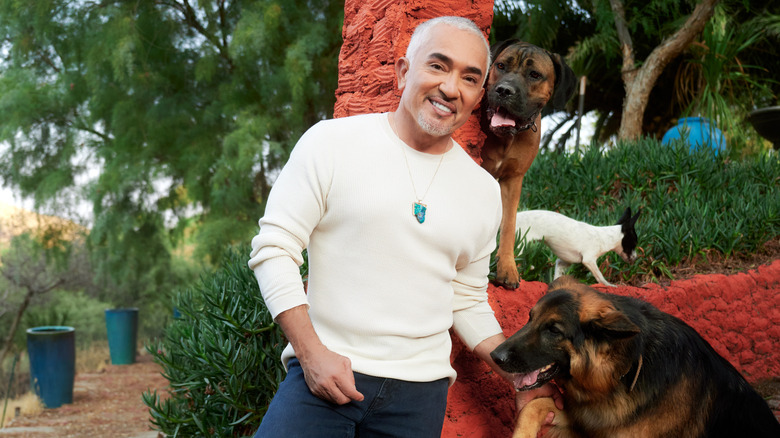 Cesar Millan with three dogs