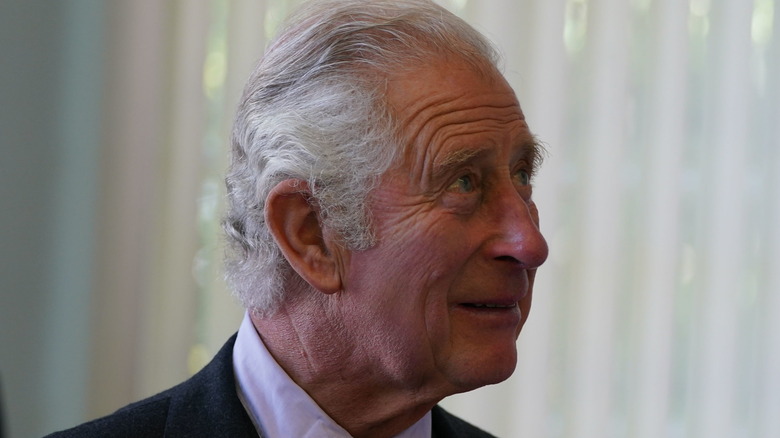 Prince Charles smiling 