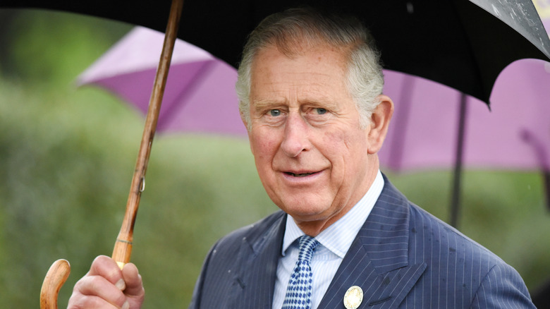 Prince Charles under an umbrella