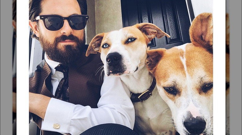 Chris McNally selfie with dogs