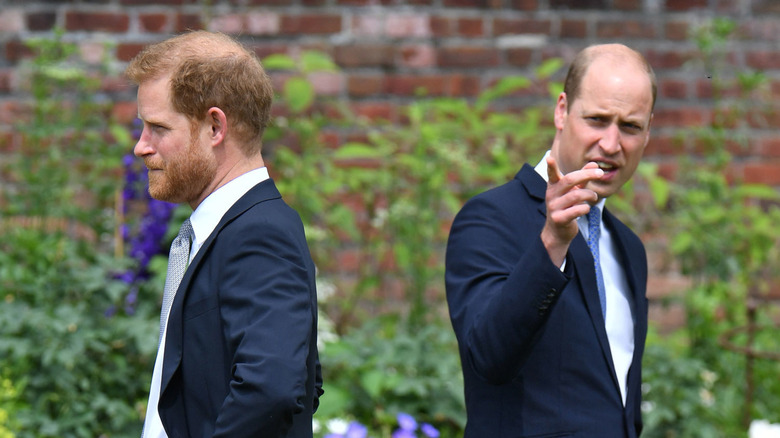 Princes Harry and William