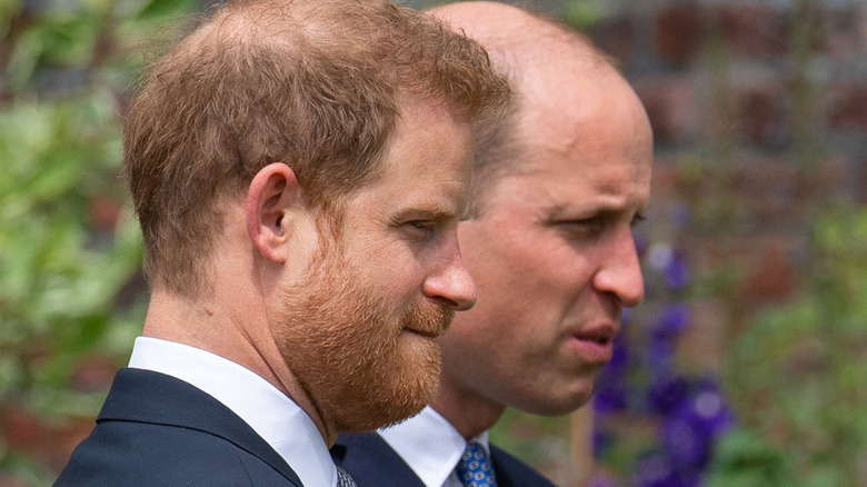 Princes Harry and William at their late mother's statue unveiling