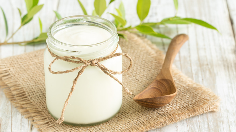 Probiotic-rich yogurt in a glass jar 