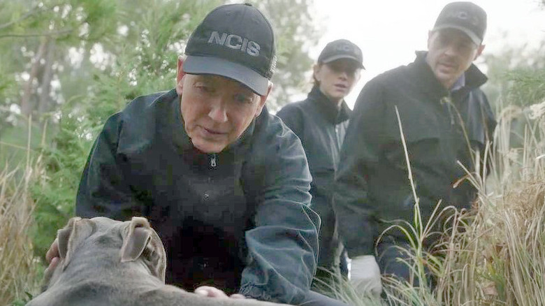 Mark Harmon pets a dog